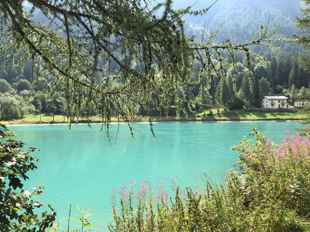 Apartament Profumo Di Legno A Cielo Alto La Coquille Breuil-Cervinia Zewnętrze zdjęcie